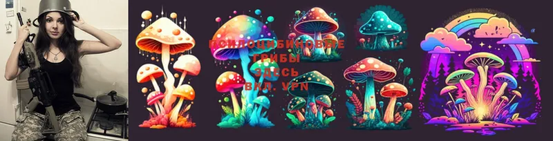 Галлюциногенные грибы MAGIC MUSHROOMS  Балашов 